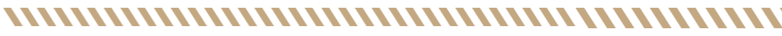 2026041113114253
