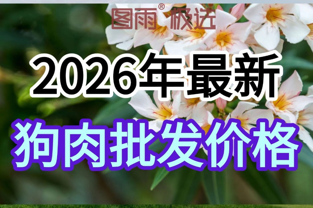 当前图片没有替代文字。文件名为:2026042212031013.jpg