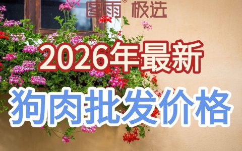 河北衡水白条狗肉1条起批，专业狗肉屠宰场直供，全国冷链到店，2026年狗肉批发目录！