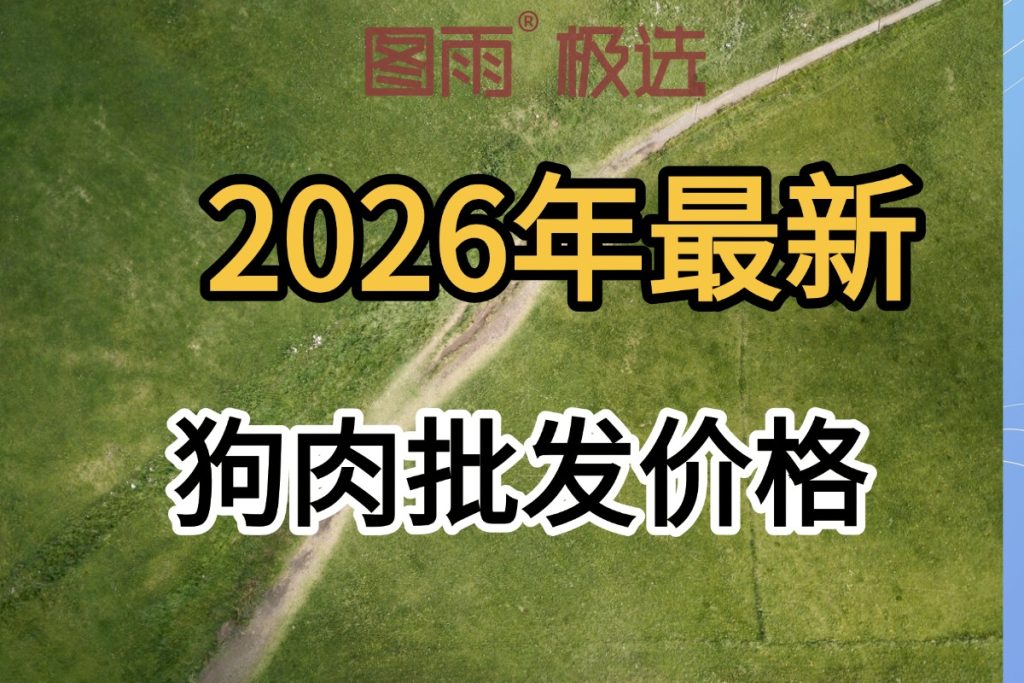 当前图片没有替代文字。文件名为:2026042212040192.jpg