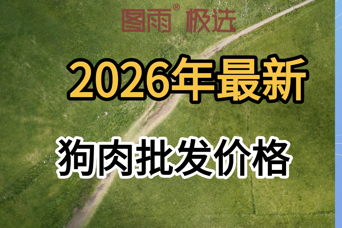 甘肃定西白条狗肉1条起批，全国冷链到门，货源稳定不断供，2026年狗肉批发零售价！