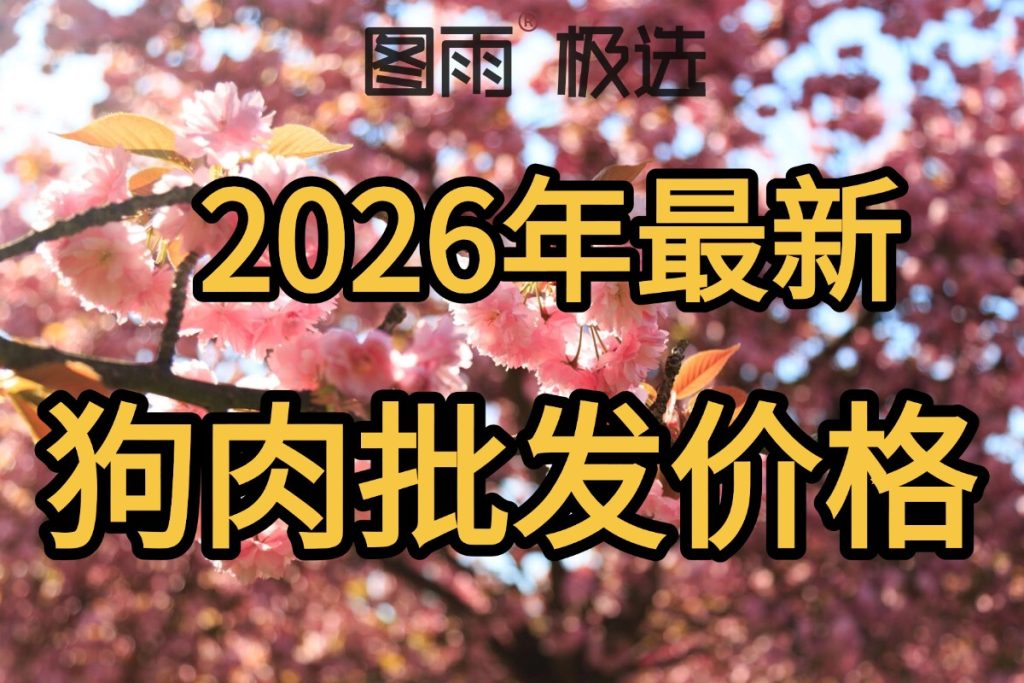 当前图片没有替代文字。文件名为：2026042212040872.jpg