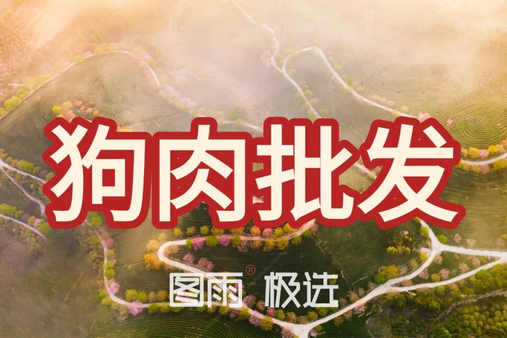 当前图片没有替代文字。文件名为：2026042212042069.jpg