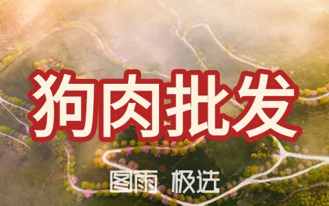 河南信阳源头屠宰场直发，新鲜狗肉1条起批，无中间商，次日达！