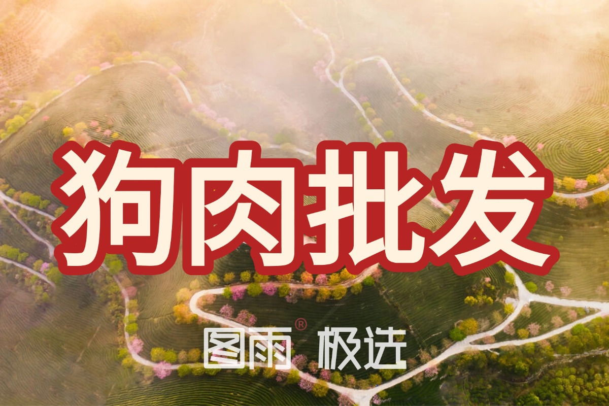 河南信阳源头屠宰场直发，新鲜狗肉1条起批，无中间商，次日达！