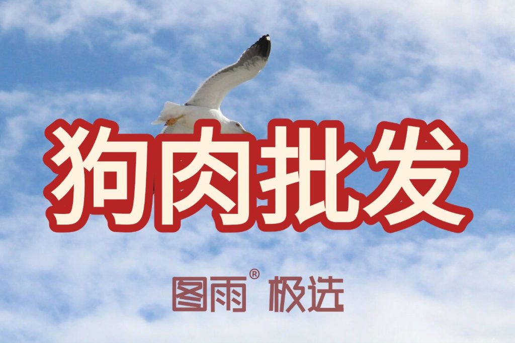 当前图片没有替代文字。文件名为：2026042212042437.jpg