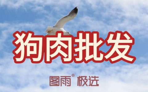 河南商丘狗肉批发零售，1条起批不压货，冷链直达，支持验货！