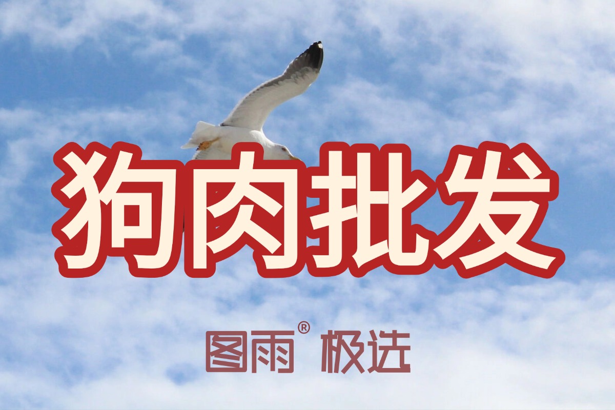 河南商丘狗肉批发零售，1条起批不压货，冷链直达，支持验货！