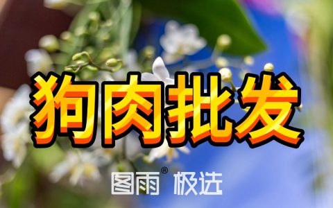 四川乐山狗肉供应商直供，活杀无注水，1条起发，全国冷链到店！