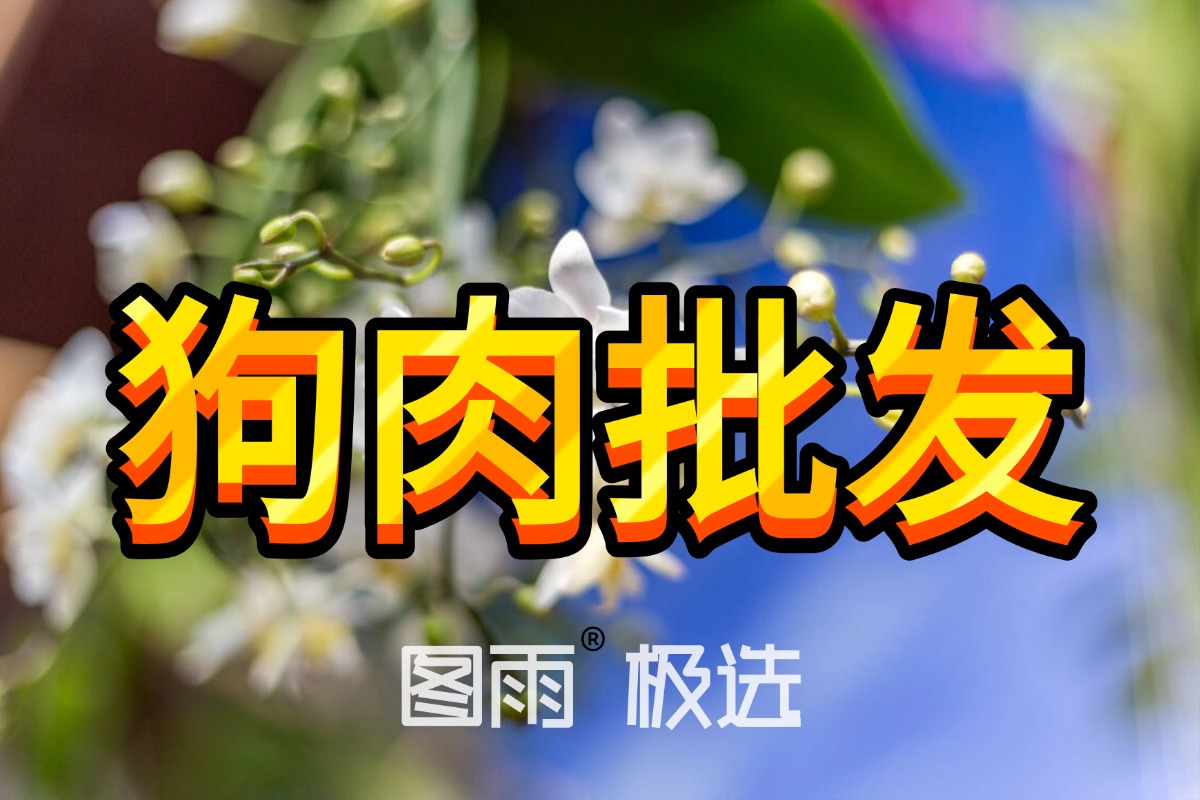 四川乐山狗肉供应商直供，活杀无注水，1条起发，全国冷链到店！