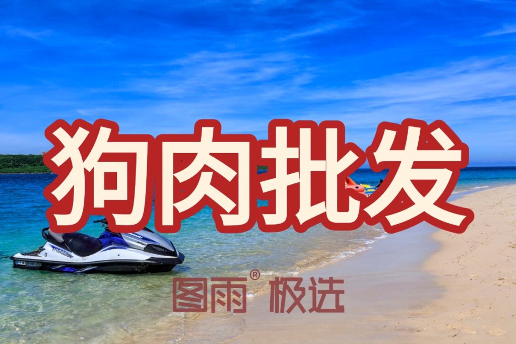 福建莆田狗肉批发零售,活狗现杀,1条起批无起订量,次日达,2026年狗肉生鲜价格!