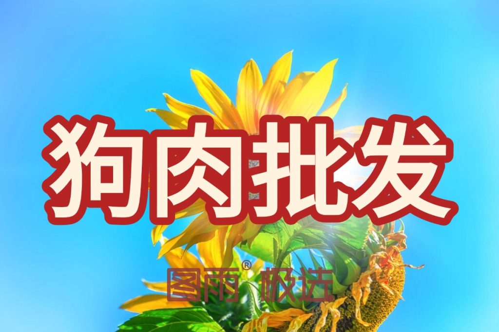福建三明专业狗肉供应,1条起批次日达,白条/分割均可,厂家直发,2026年狗肉价格查询!