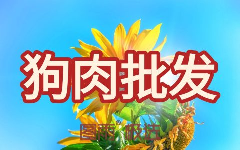 湖北黄冈专业狗肉供应链，1条起批，白条/分割肉均可，稳定不断货！