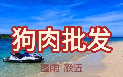 四川宜宾狗肉批发，新鲜狗肉1条起批，次日达！