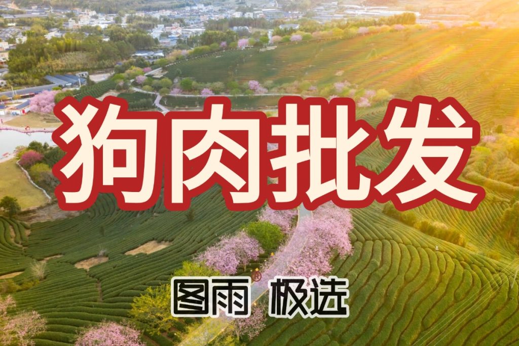 福建漳州白条狗肉生鲜肉1条起批，火锅店/餐馆用肉，冷链运输，2026年狗肉批发零售价！