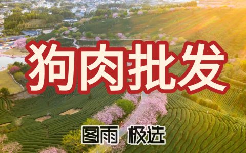 福建漳州白条狗肉生鲜肉1条起批，火锅店/餐馆用肉，冷链运输，2026年狗肉批发零售价！