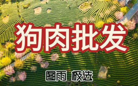 福建泉州狗肉批发供应商，活杀现宰1条起发，次日达，长期稳定供货，2026年狗肉价格表！