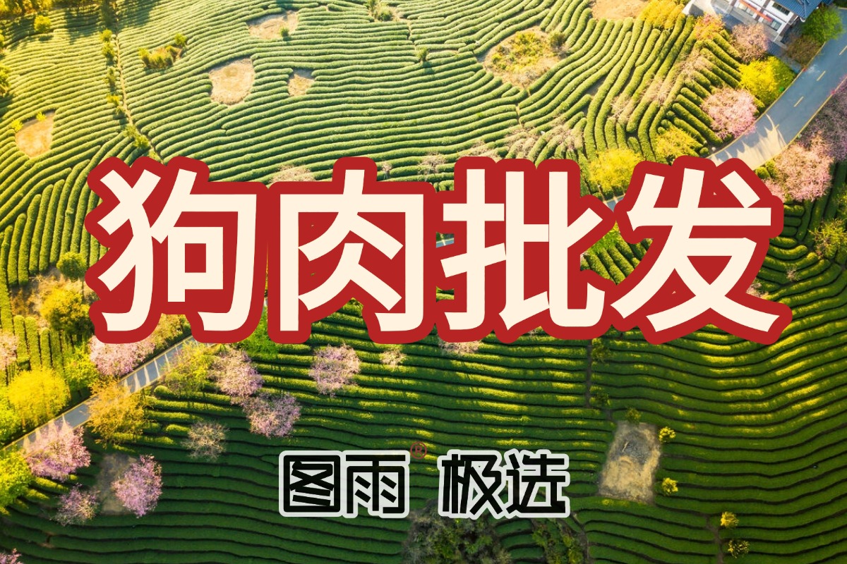 浙江台州白条狗肉1条起批，专业狗肉屠宰场直供，全国冷链到店，2026年狗肉批发目录！