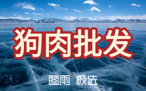 甘肃平凉新鲜狗肉批发，1条起批次日达，冷链发货，饭店专供白条狗肉