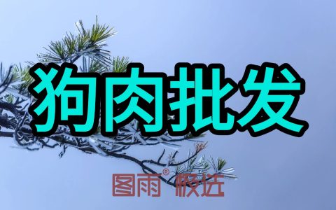 河南驻马店生狗肉批发厂家 - 一条起批发-2026年狗肉价格！