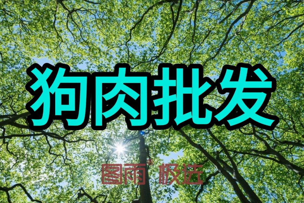 当前图片没有替代文字。文件名为:2026042212050628.jpg