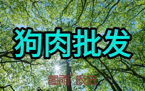 焦作白条狗肉，1条起批。全国冷链送货到门，货源稳定不断供!