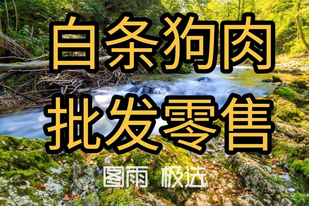 当前图片没有替代文字。文件名为:2026042212051928.jpg