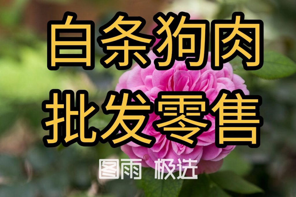 当前图片没有替代文字。文件名为:2026042212052227.jpg