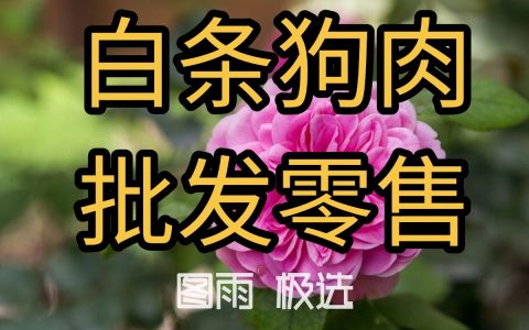 云南景洪新鲜狗肉批发，1条起发，饭馆食堂用肉，无注水，2026年狗肉生鲜报价！