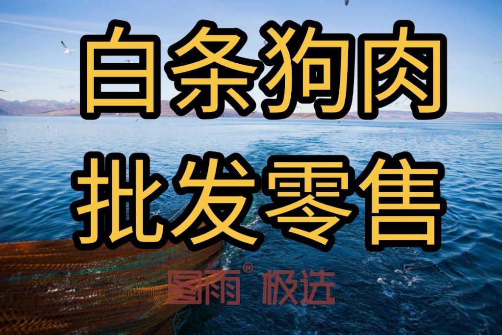 当前图片没有替代文字。文件名为：2026042212052465.jpg