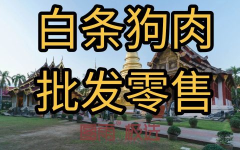 广东潮州白条狗肉生鲜肉，1条起批，源头供货，价格低于市场！