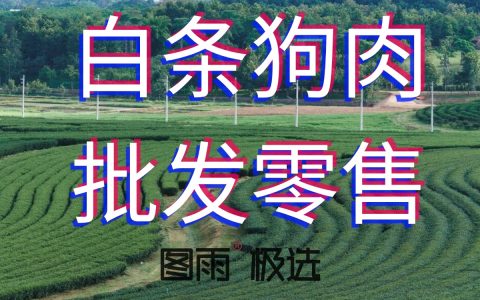 安徽蚌埠狗肉批发供应商，活杀现宰1条起发，次日达，长期稳定供货，2026年狗肉价格表！