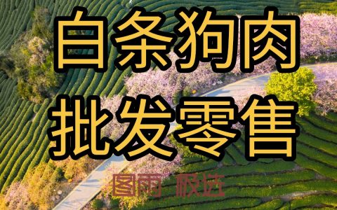 .广东茂名长期供应新鲜狗肉，1条起批，次日达，可月结，欢迎餐馆合作！